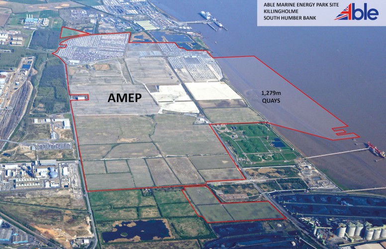 the AMEP Site